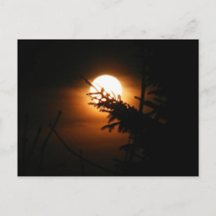 Vollmond-Postkarte Postkarte