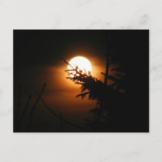 Vollmond-Postkarte Postkarte (Vorderseite)