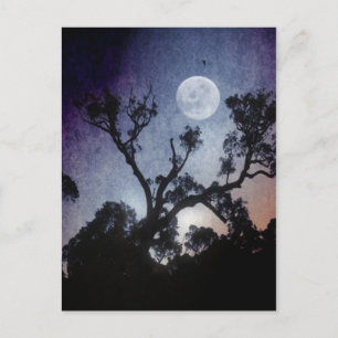 Vollmond-Postkarte Postkarte