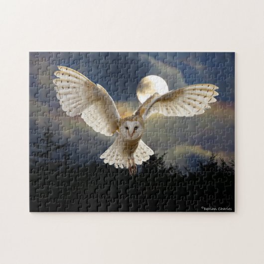 "Vollmond" Puzzle (Horizontal)