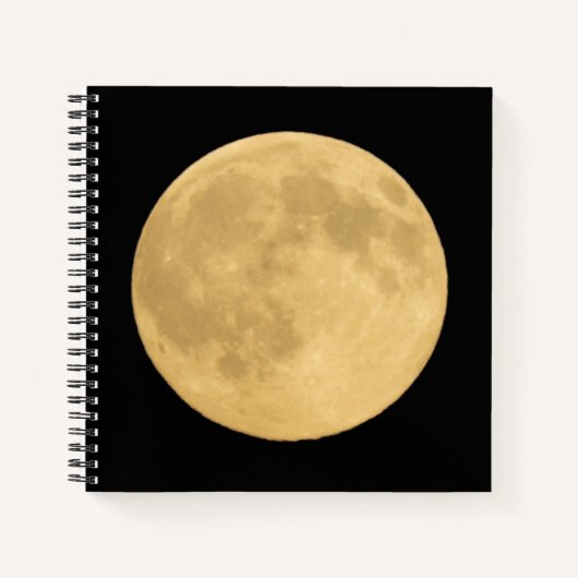 Vollmond | Seattle, Washington Notizblock (Vorderseite)