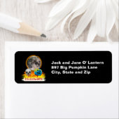 Vollmond, Skull & Blue Pumpkin auf den Nachtmarken (Insitu)