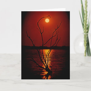 Vollmond Über dem See notecard Karte