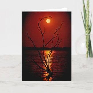 Vollmond Über dem See notecard Karte