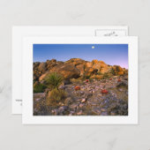 " Vollmond über den Feuerring legen" Postkarte (Vorne/Hinten)