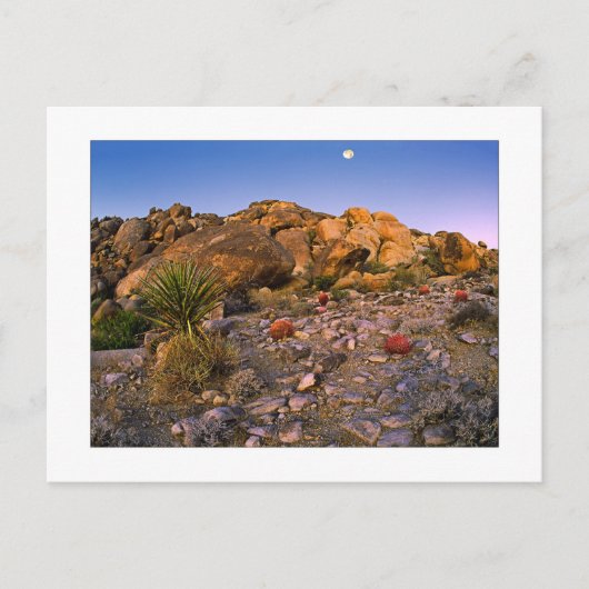 " Vollmond über den Feuerring legen" Postkarte (Vorderseite)