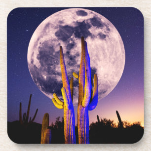 Vollmond über Saguaro-Kakteen Getränkeuntersetzer