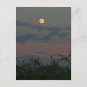 Vollmond über Scottsdale Postkarte