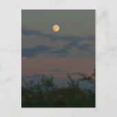Vollmond über Scottsdale Postkarte (Vorderseite)
