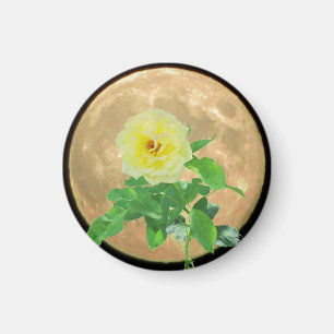 Vollmond und gelbe Rosen-Blüten-Silhouette Magnet