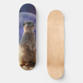 Vollmond und Meerkat, Skateboard (Vorderseite)