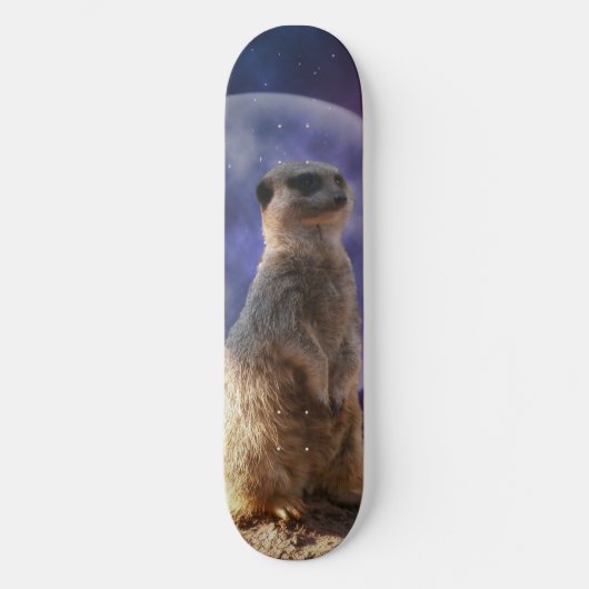 Vollmond und Meerkat, Skateboard (Vorderseite)