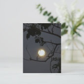 Vollmond-Wahnsinn Postkarte (Stehend Vorderseite)