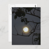 Vollmond-Wahnsinn Postkarte (Vorne/Hinten)