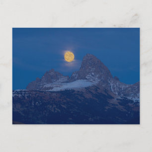 Vollmondaufgang Grand Teton Driggs, Idaho Postkarte
