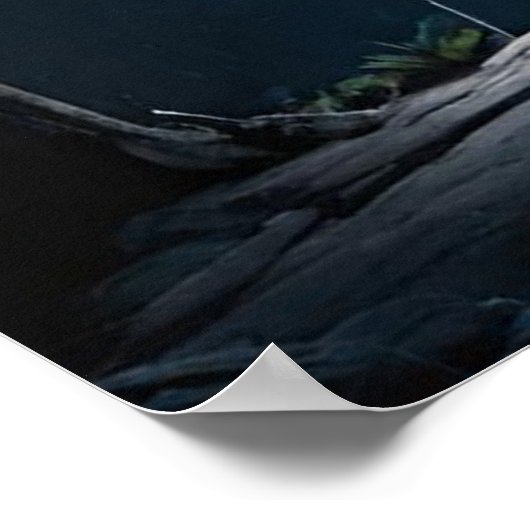 Vollmondbär Poster (Ecke)