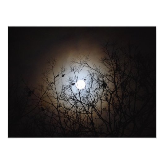 Vollmondfotografie Fotodruck (Vorne)