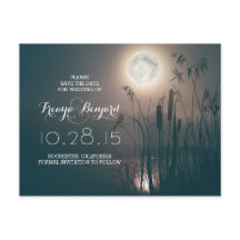 Vollmondnacht mit Libelle und Katzen Save the Date