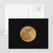Vollmondpostkarte Postkarte (Vorne/Hinten)