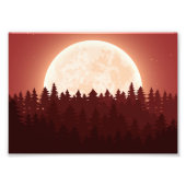 Vollmondwaldnacht: Eine ruhige Landschaft Fotodruck (Vorne)