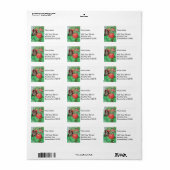 Vollreife Adressaufkleber (Vorne)