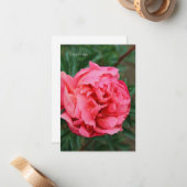Vollrosa Peony Mitteilungskarte (Vorderseite/Rückseite Beispiel)