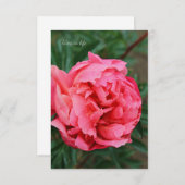 Vollrosa Peony Mitteilungskarte (Vorne/Hinten)