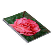 Vollrosa Peony Notizblock (Rechte Seite)