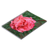 Vollrosa Peony Notizblock (Linke Seite)