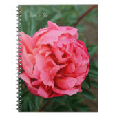 Vollrosa Peony Notizblock (Vorderseite)