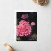 Vollrosa Rose Mitteilungskarte (Vorderseite/Rückseite Beispiel)