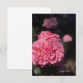 Vollrosa Rose Mitteilungskarte (Vorne/Hinten)