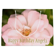 Vollrosa Rosenblüte