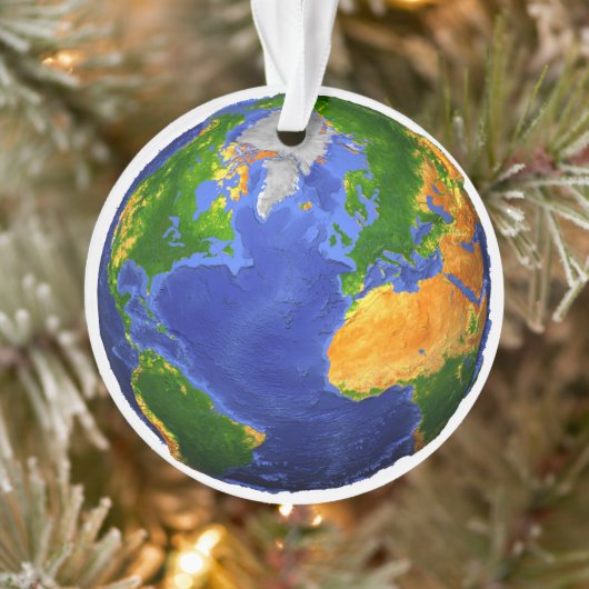 Vollständig die Erde mit topographischen Daten. Ornament (Baum)