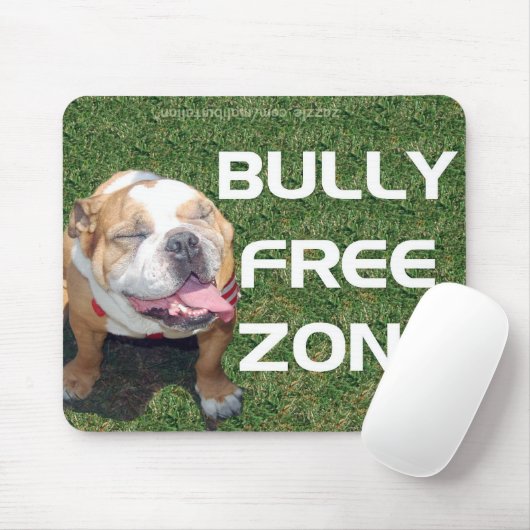 VOLLSTÄNDIG FREIZONE MOUSEPAD (Mit Mouse)