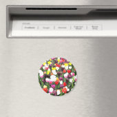 Vollständig mit Frühlingsfarben Magnet (In Situ (Geschirrspüler))