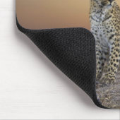 Vollständige Ansicht von Leopard (Panthera pardus) Mousepad (Ecke)