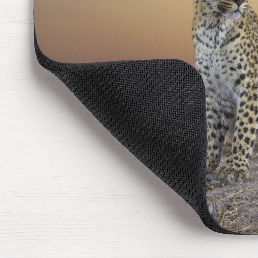 Vollständige Ansicht von Leopard (Panthera pardus) Mousepad (Ecke)