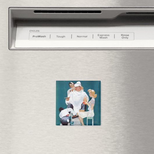 Vollständige Behandlung Magnet (In Situ (Geschirrspüler))