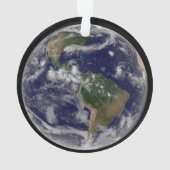 Vollständige Erde mit verschiedenen tropischen Stu Ornament (Rückseite)