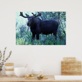 Vollständige Größe Poster (Küche)