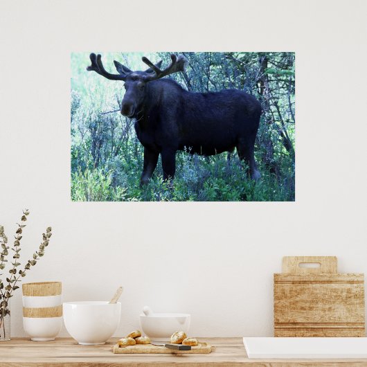 Vollständige Größe Poster (Küche)