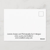 VOLLSTÄNDIGE MOONPOSTKARTE POSTKARTE (Rückseite)