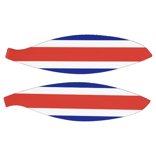 Vollständiger Basketball mit Flagge Costa Ricas (Panele)