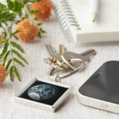 Vollständiger Überblick über die Erde, die die Ant Schlüsselanhänger (Seite)