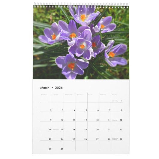 Vollständiges Bloom 2025 Kalender 1-Seiten-Medium (Mär 2026)