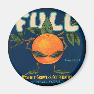 Vollständiges Orangefarbenes Kratetikett Magnet