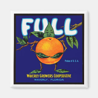 Vollständiges Orangefarbenes Kratetikett Magnet