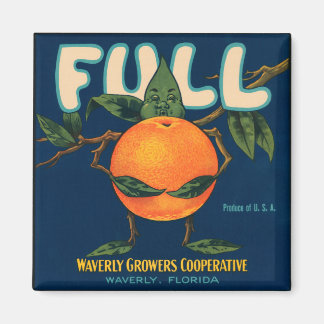 Vollständiges Orangefarbenes Kratetikett Magnet