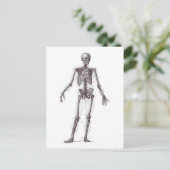 Vollständiges Skelett Postkarte (Stehend Vorderseite)